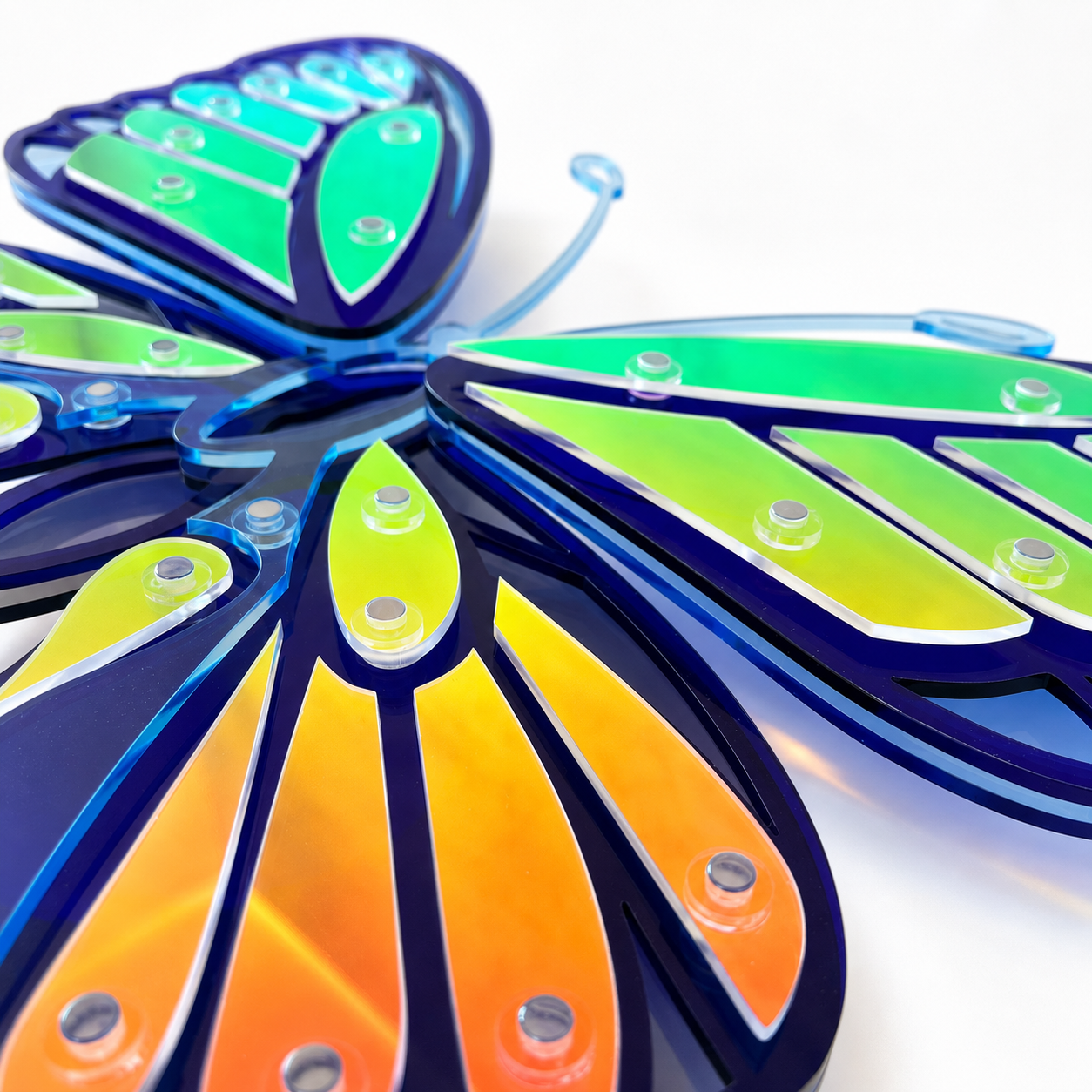 Blue Butterfly
