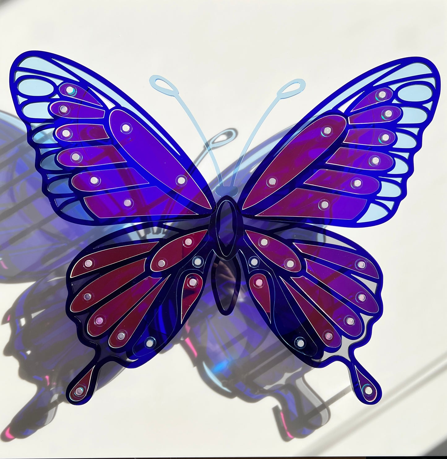 Blue Butterfly