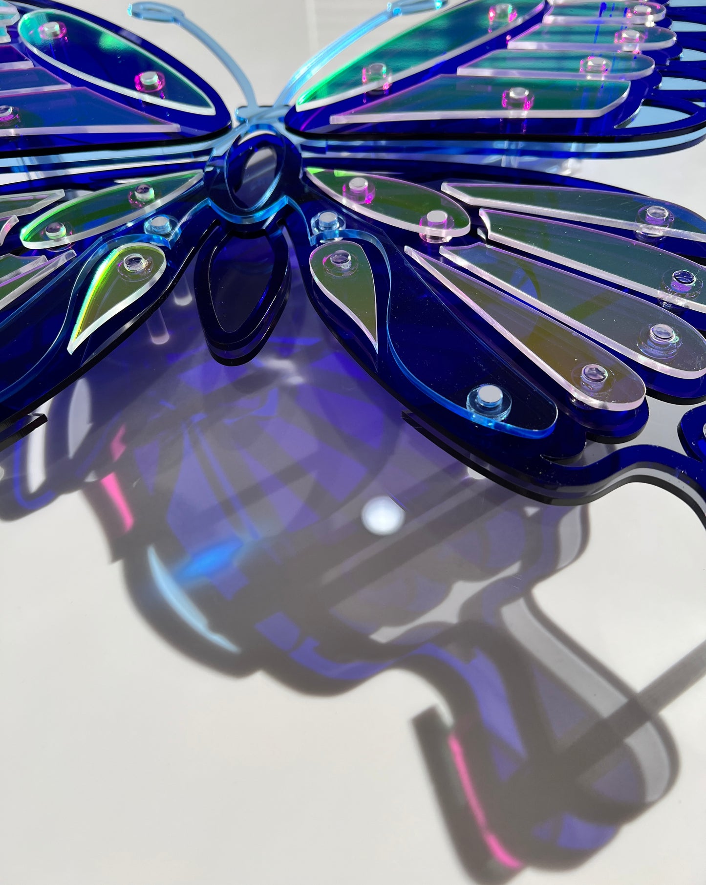 Blue Butterfly