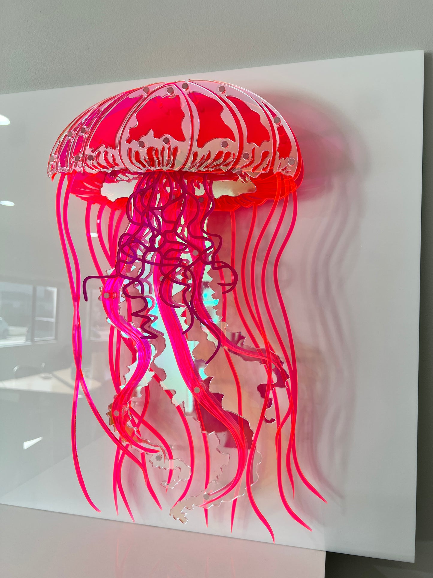 Jellyfish