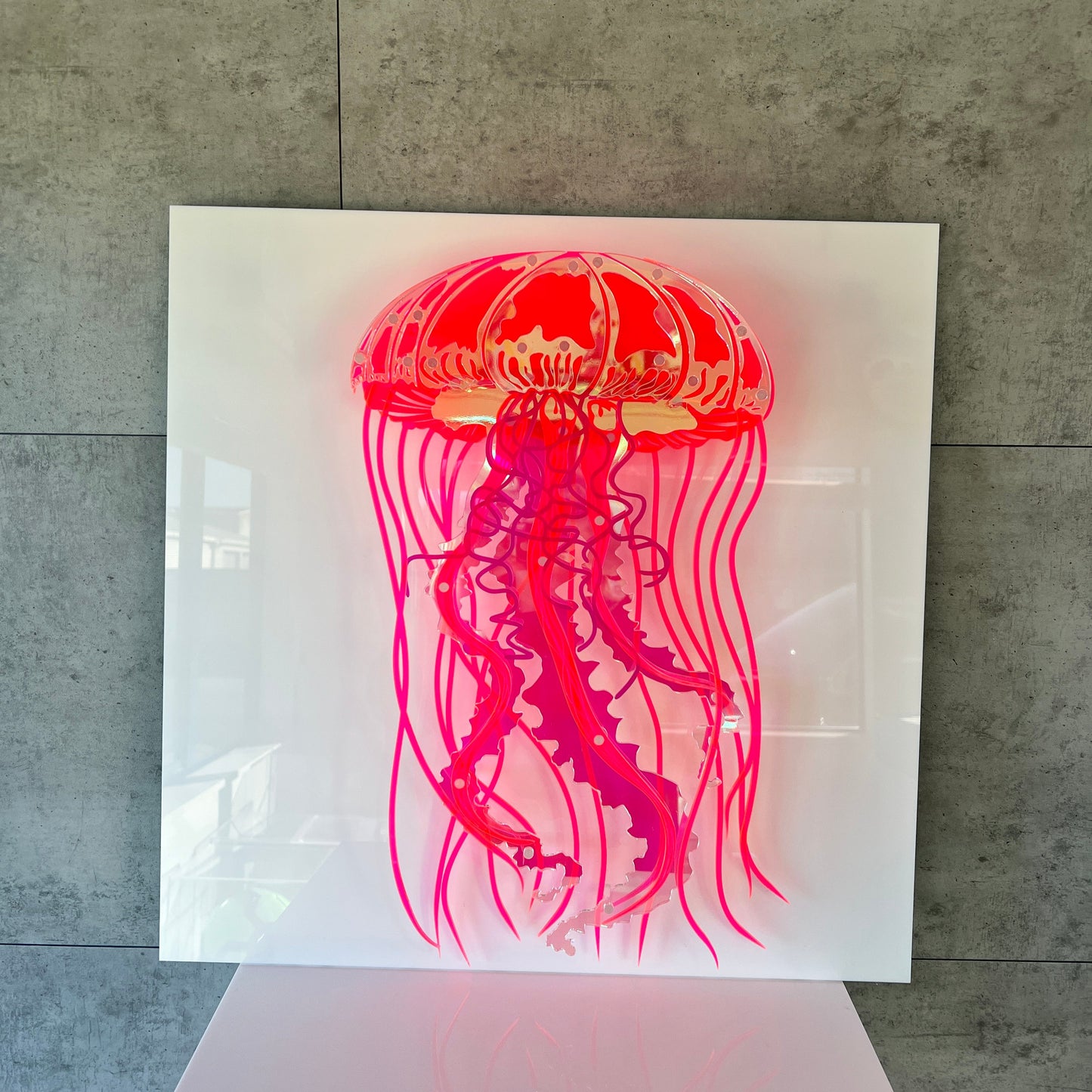 Jellyfish
