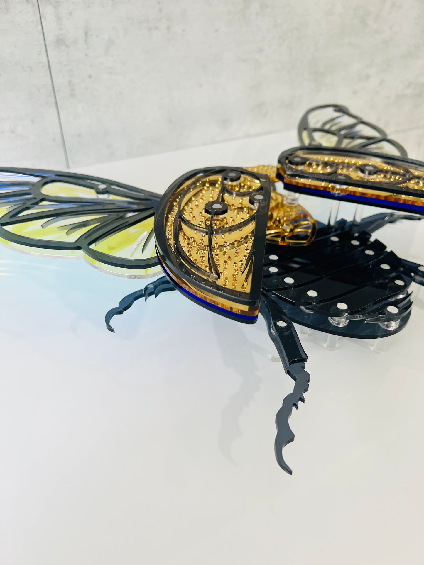 Golden Scarab Beetle side view displaying floating effect