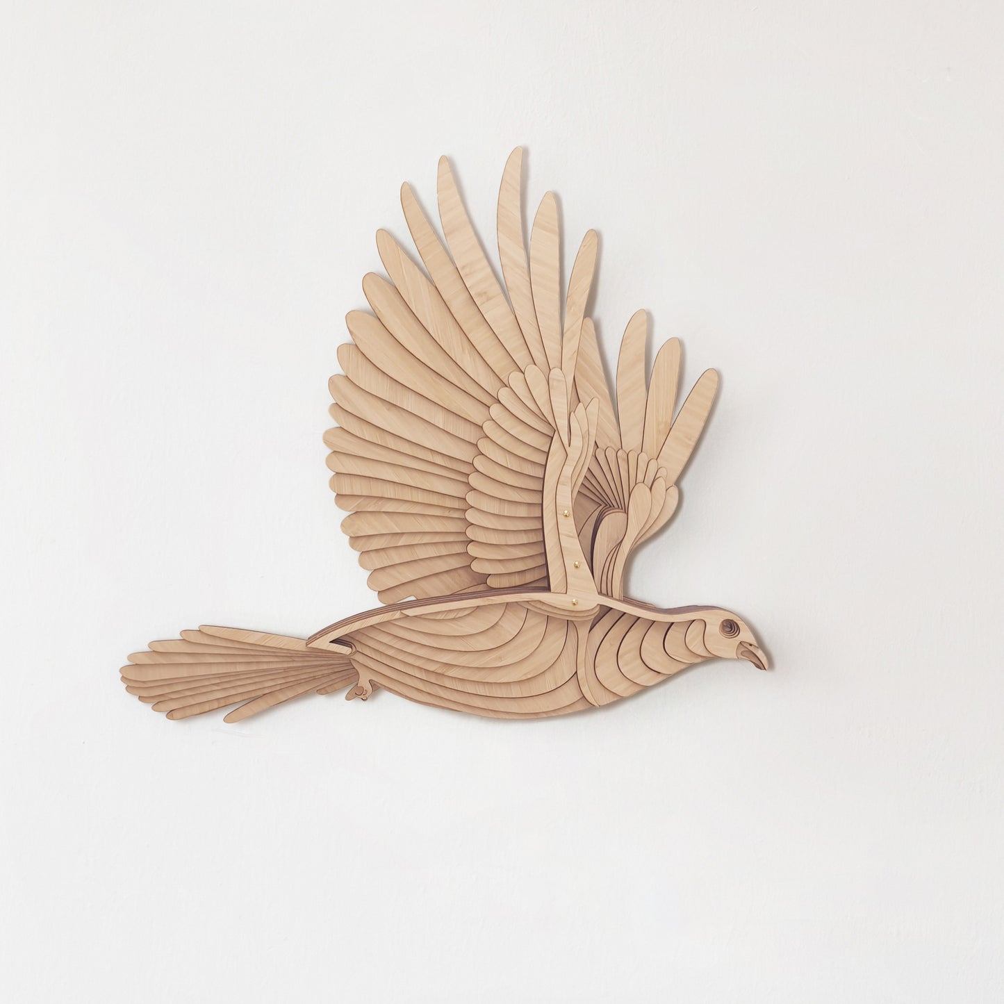 Kererū - Wood Pigeon
