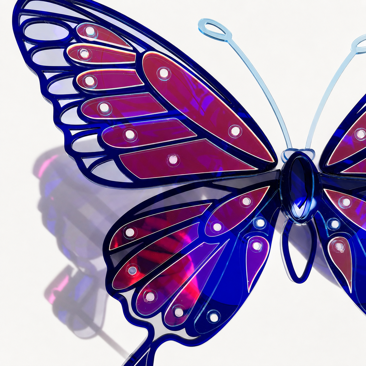 Blue Butterfly