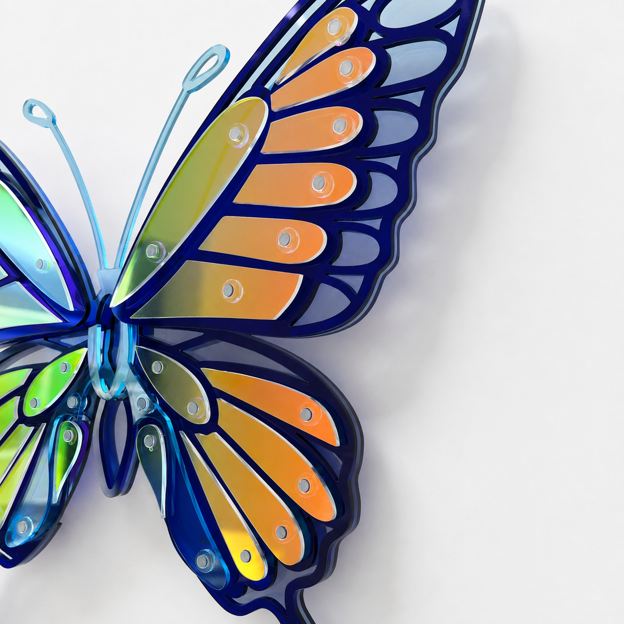 Blue Butterfly