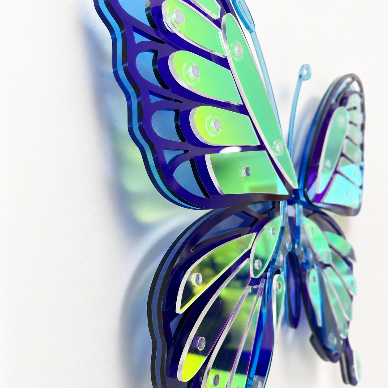 Blue Butterfly