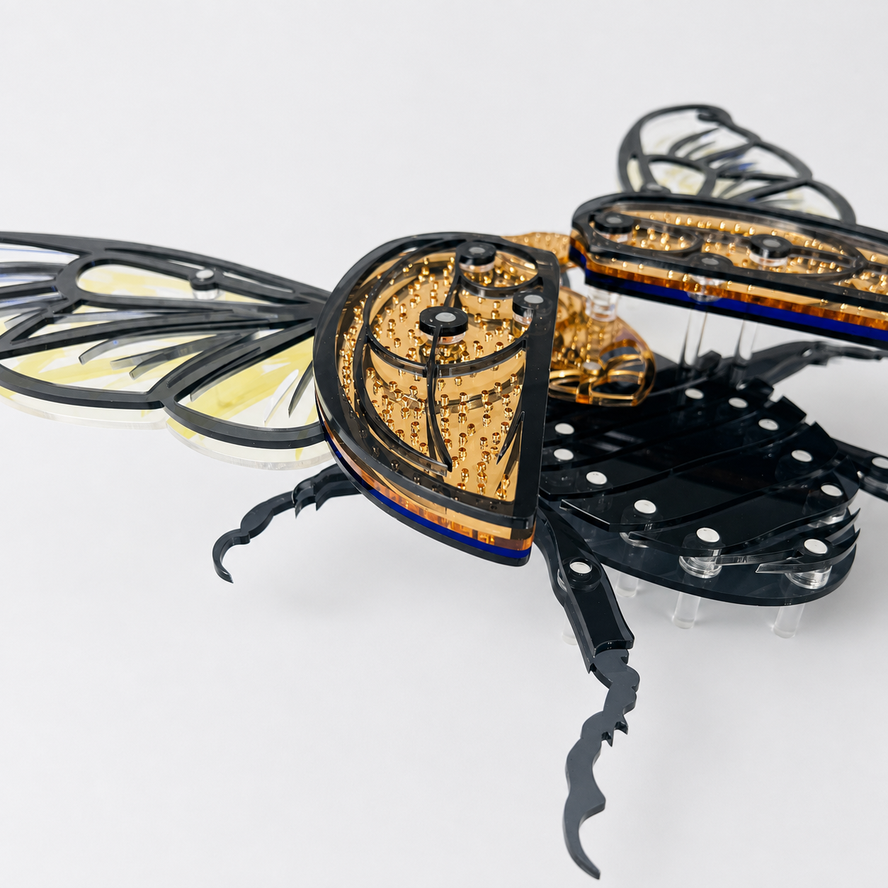 Golden Scarab Beetle