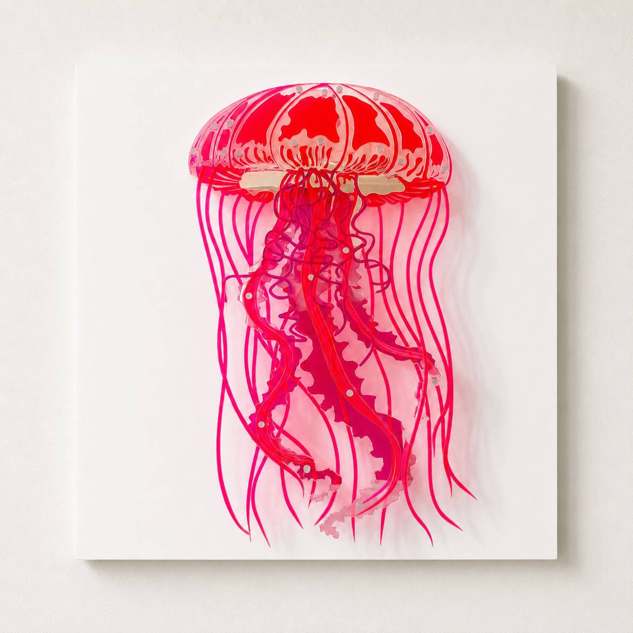 Jellyfish