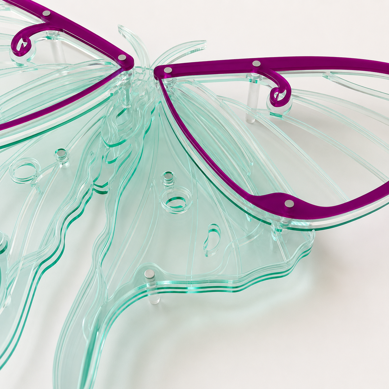 Luna Moth