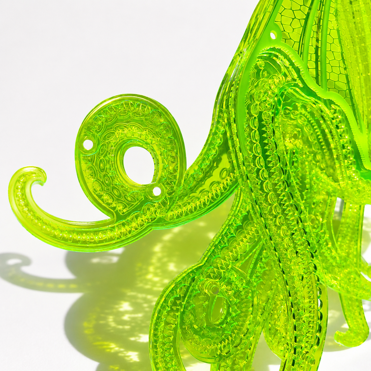 Octopus