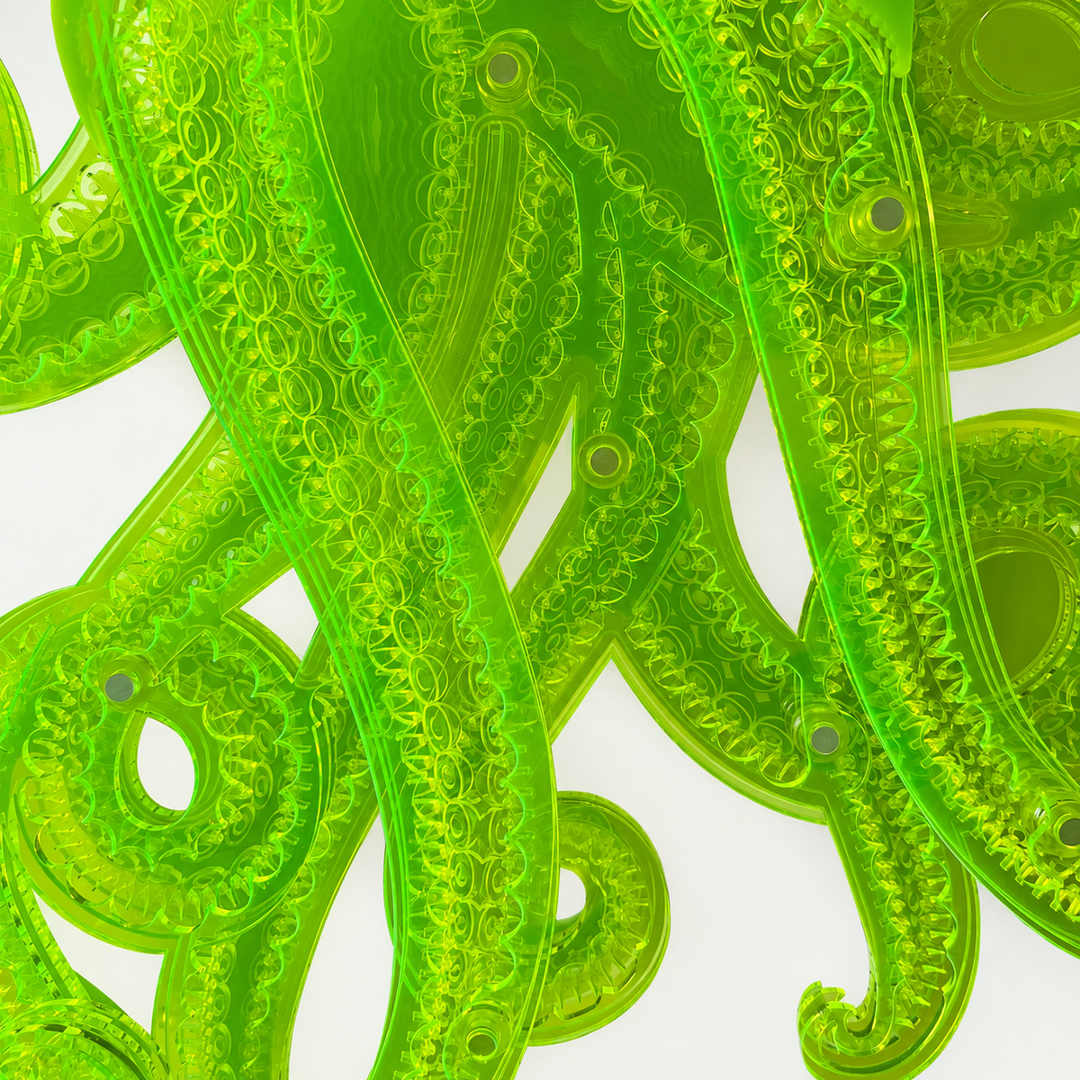Octopus