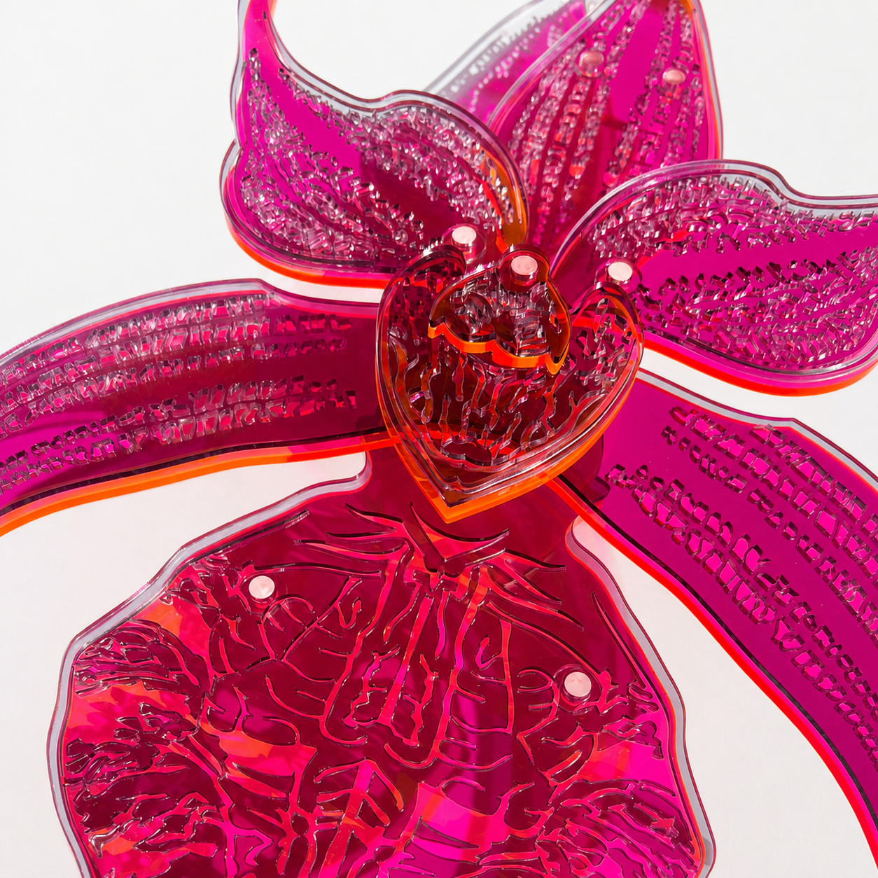 Black Orchid