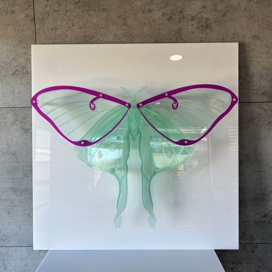 Luna Moth
