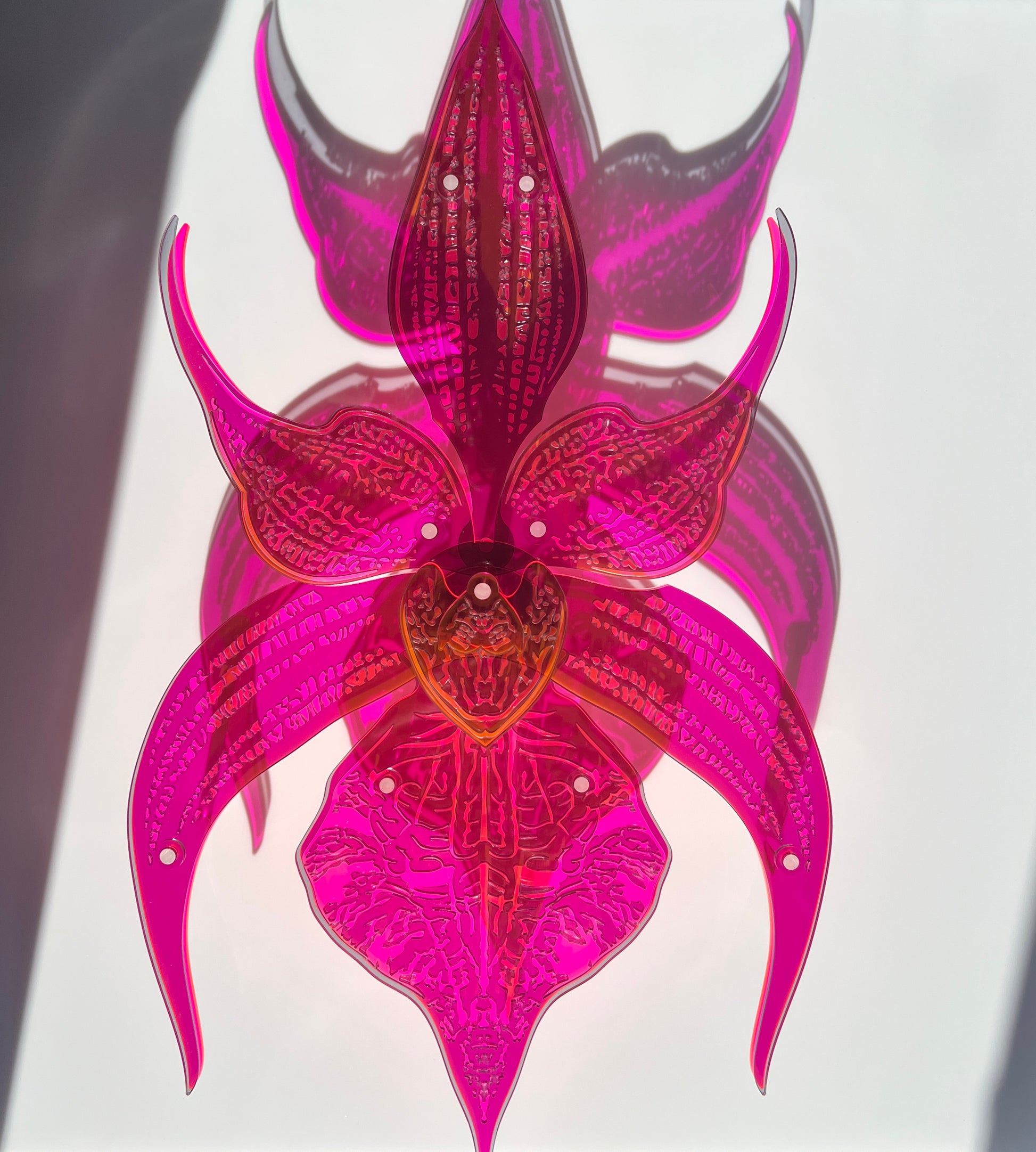 Black Orchid 3D wall art with fuchsia tones in layered Perspex display case