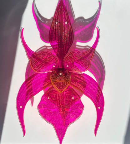 Black Orchid 3D wall art with fuchsia tones in layered Perspex display case