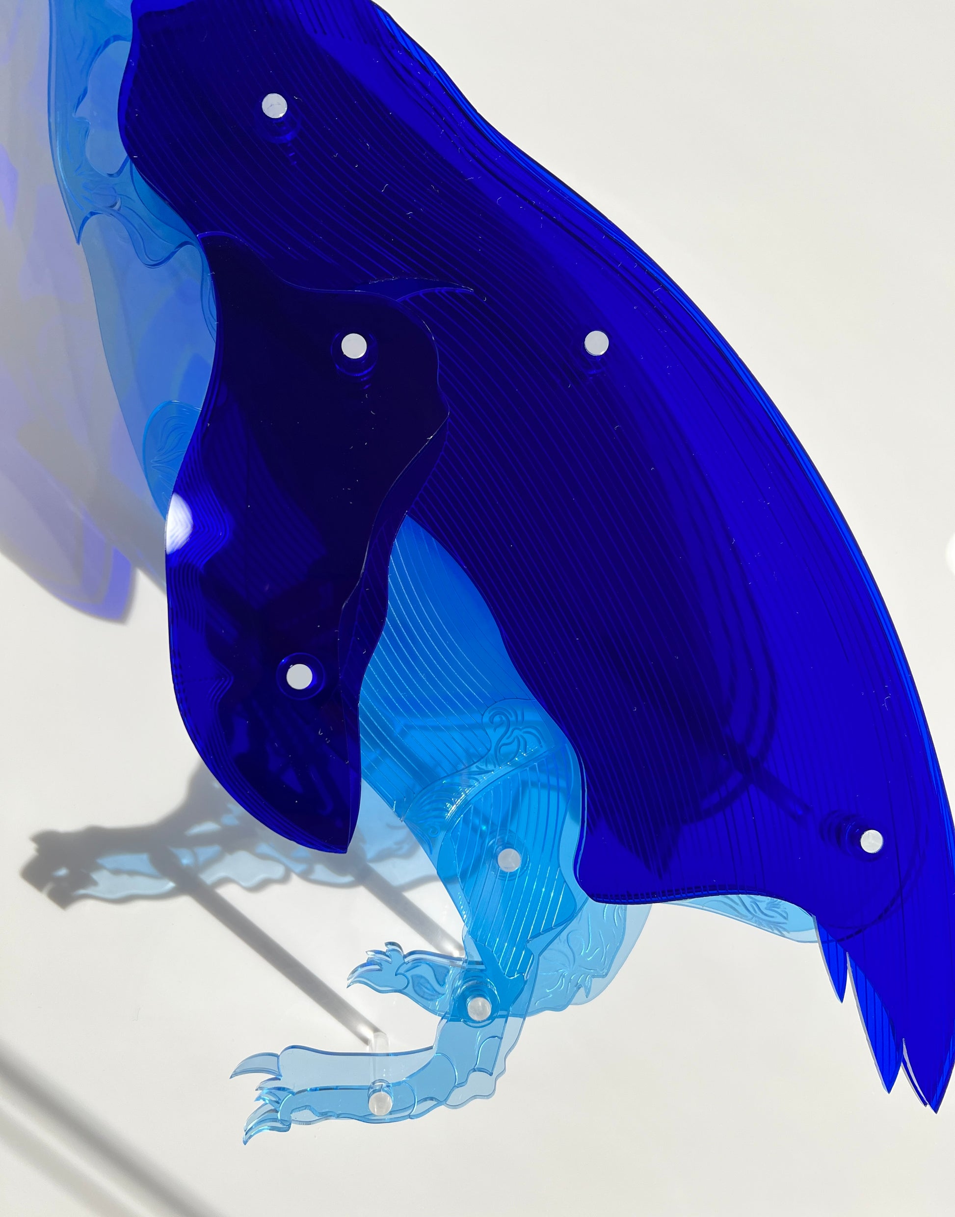 Blue Penguin close-up showing etched feather detail and blue tones