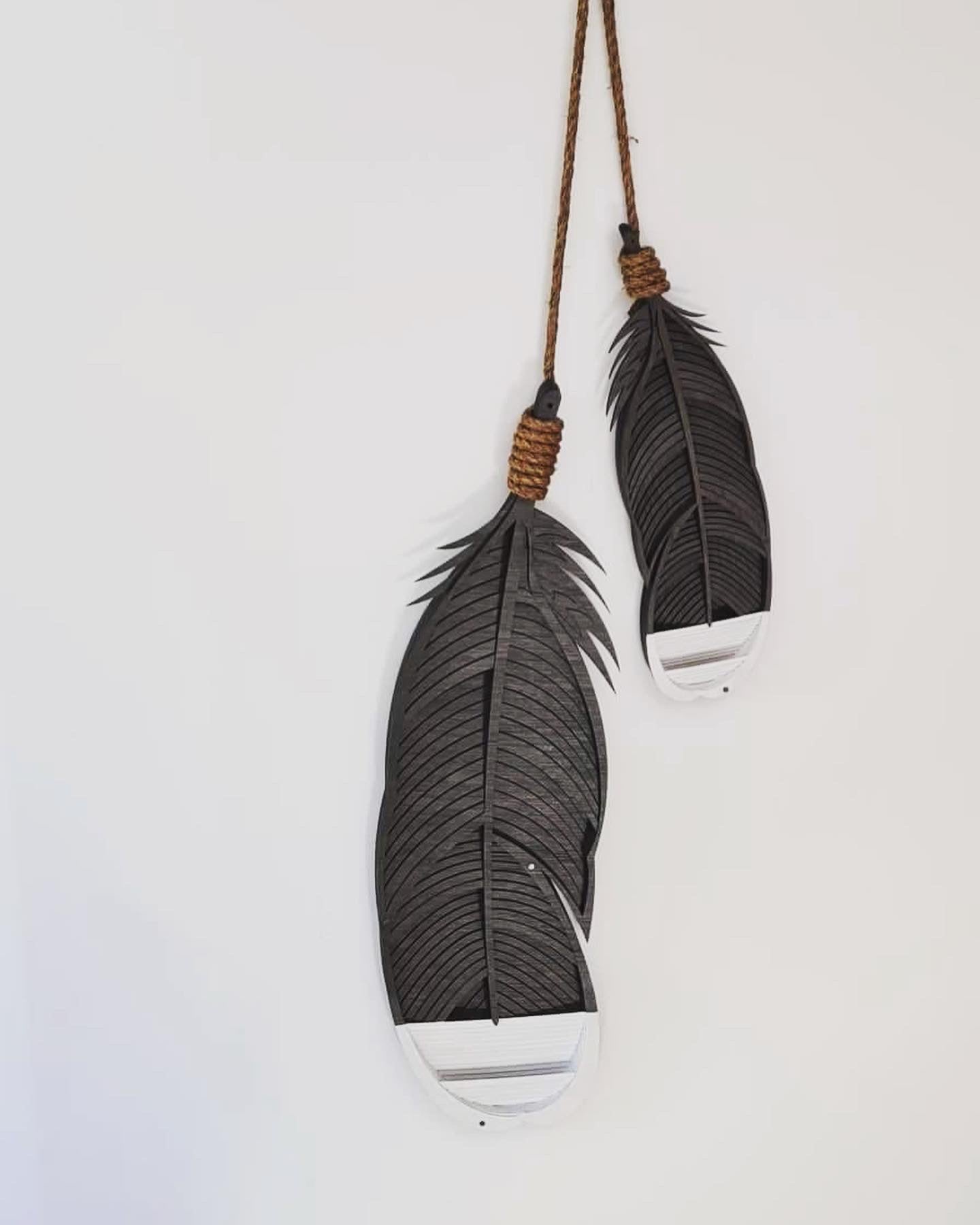 Double Huia feather wall art front view with rope hangers
