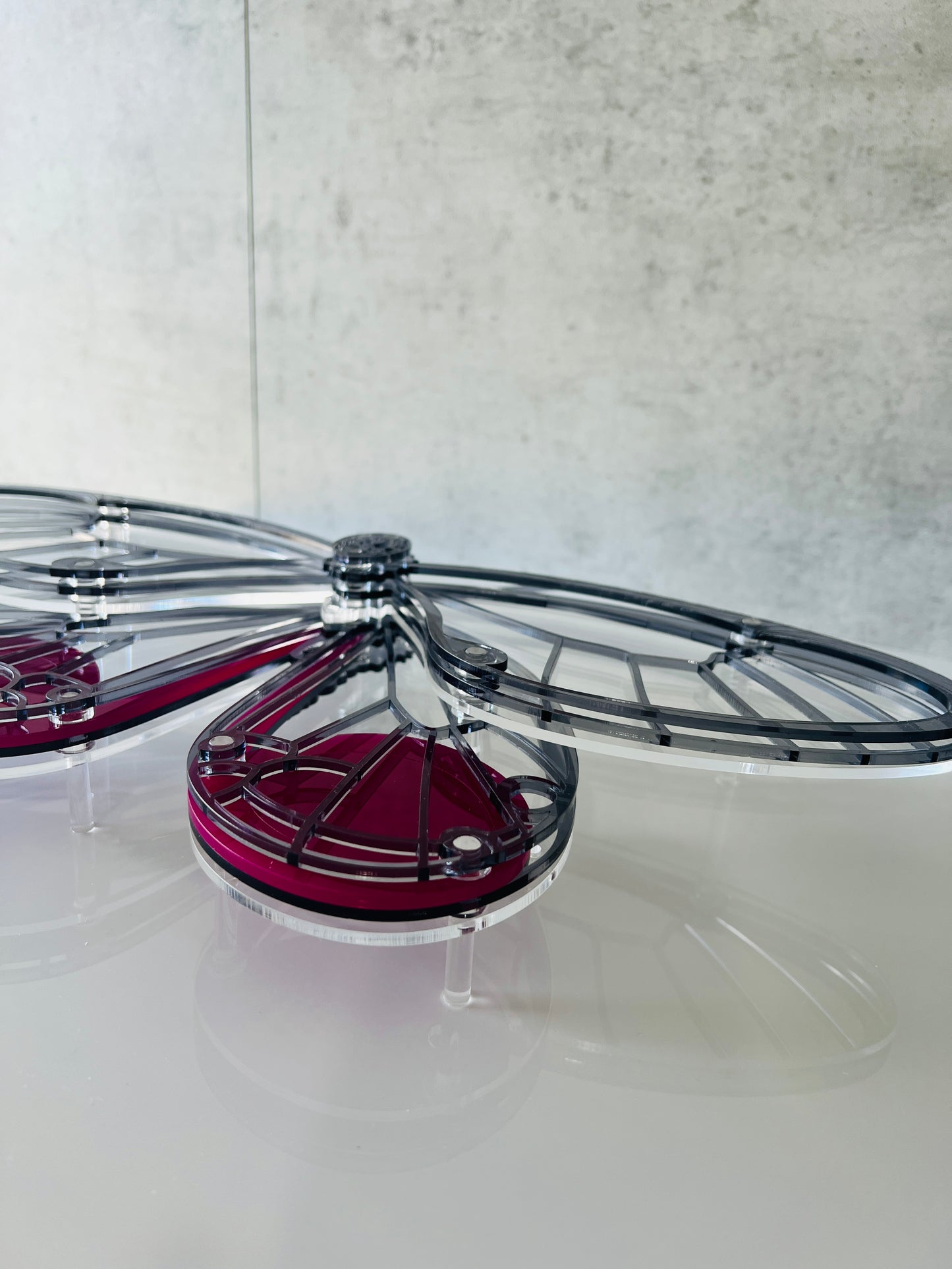 Glasswing Butterfly wall art front view showing clear transparent wings