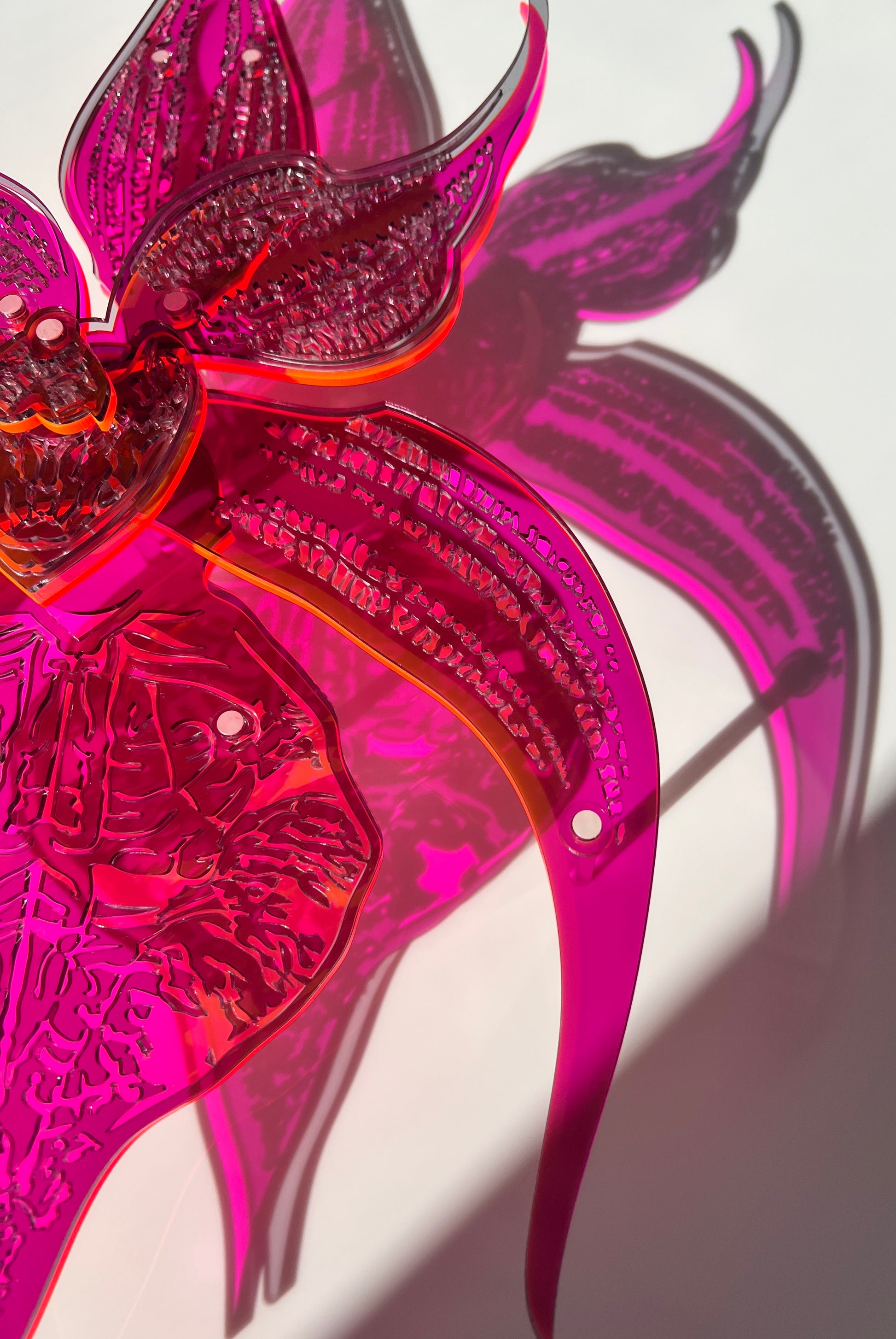 Black Orchid 3D art showing botanical elegance in layered Perspex