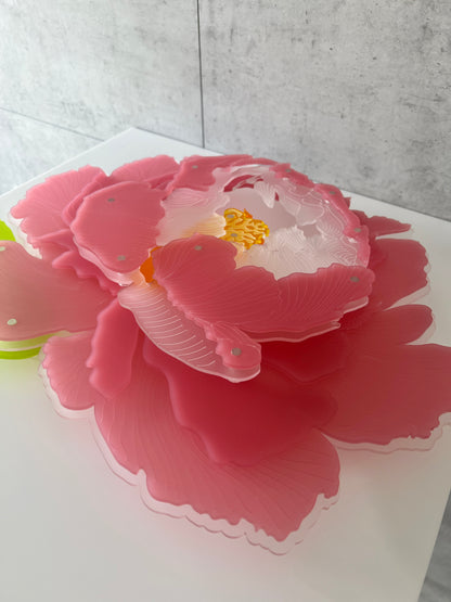 Pink Peony wall art front view showing delicate petal layers