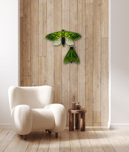 Set of Pūriri moths laser-cut wall art with colorful acrylic layers