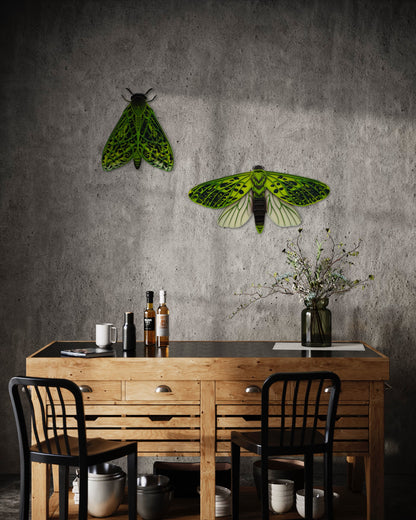 Pūriri moth wall art detail showing intricate wing patterns and layers