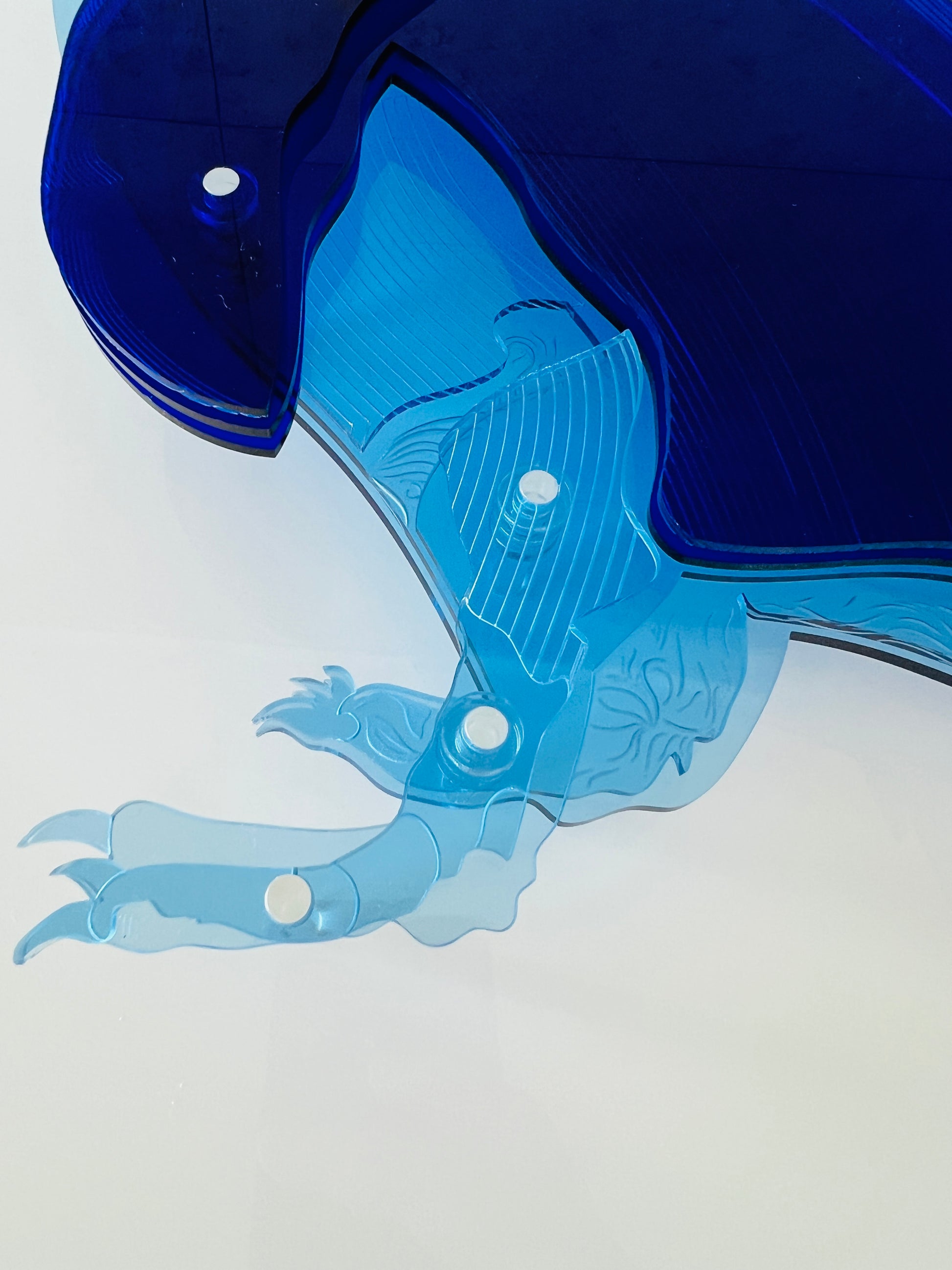 Blue Penguin close-up showing etched feather detail and blue tones