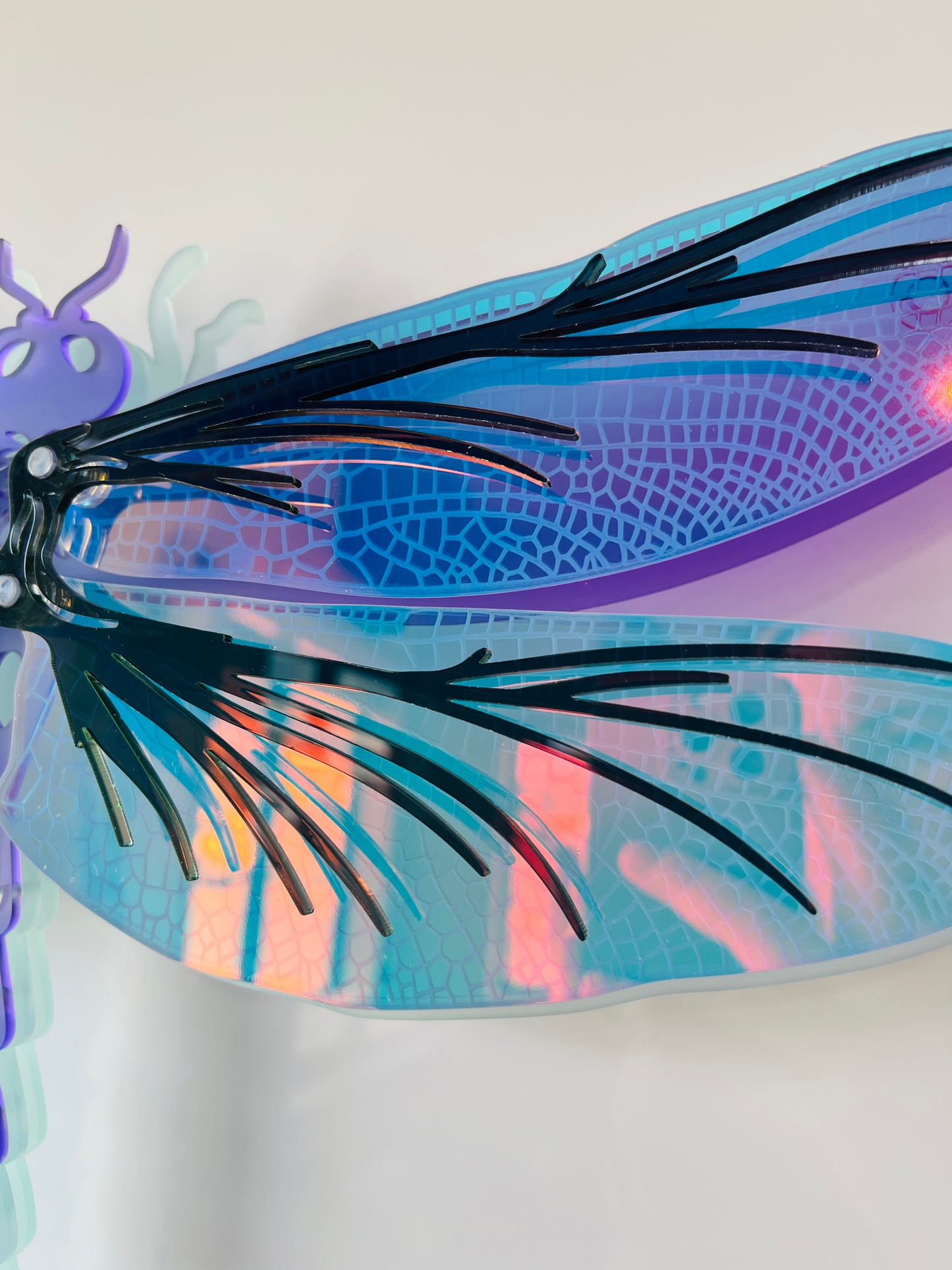 Dragonfly wall art front view showing transparent iridescent wings