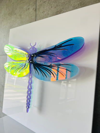 Dragonfly close-up showing color-shifting iridescent layers