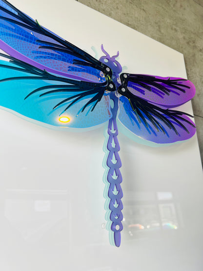 Dragonfly wall art in display case showing 3D floating effect