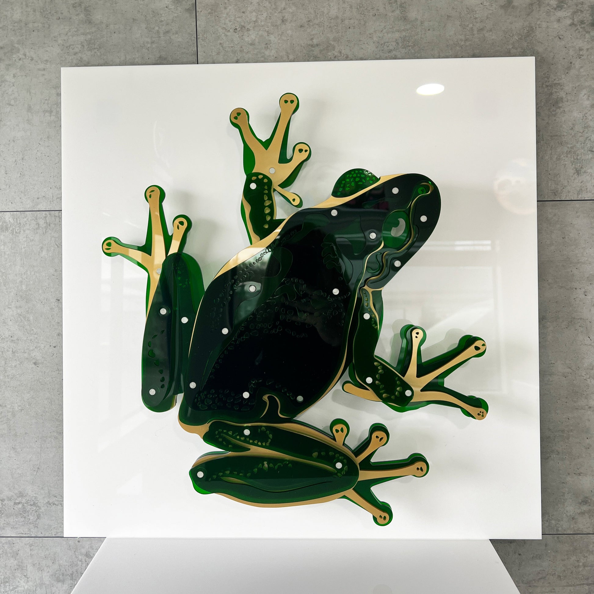 Green Frog 3D wall art with metallic layered acrylic in display case