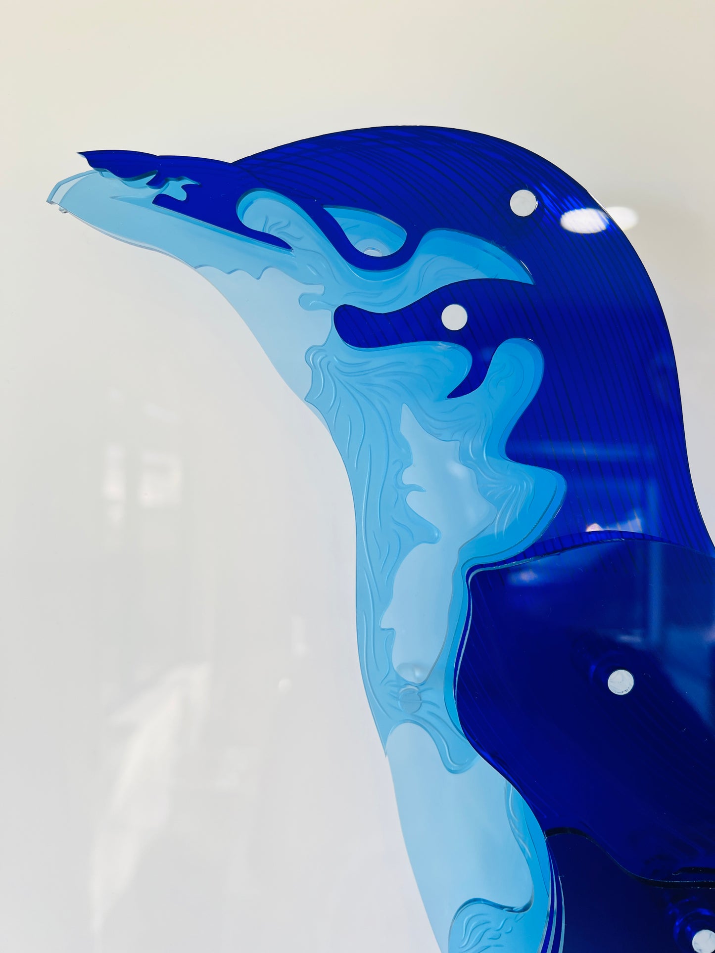 Blue Penguin close-up showing etched feather detail and blue tones