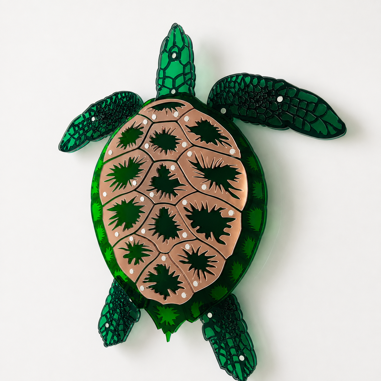 Turtle