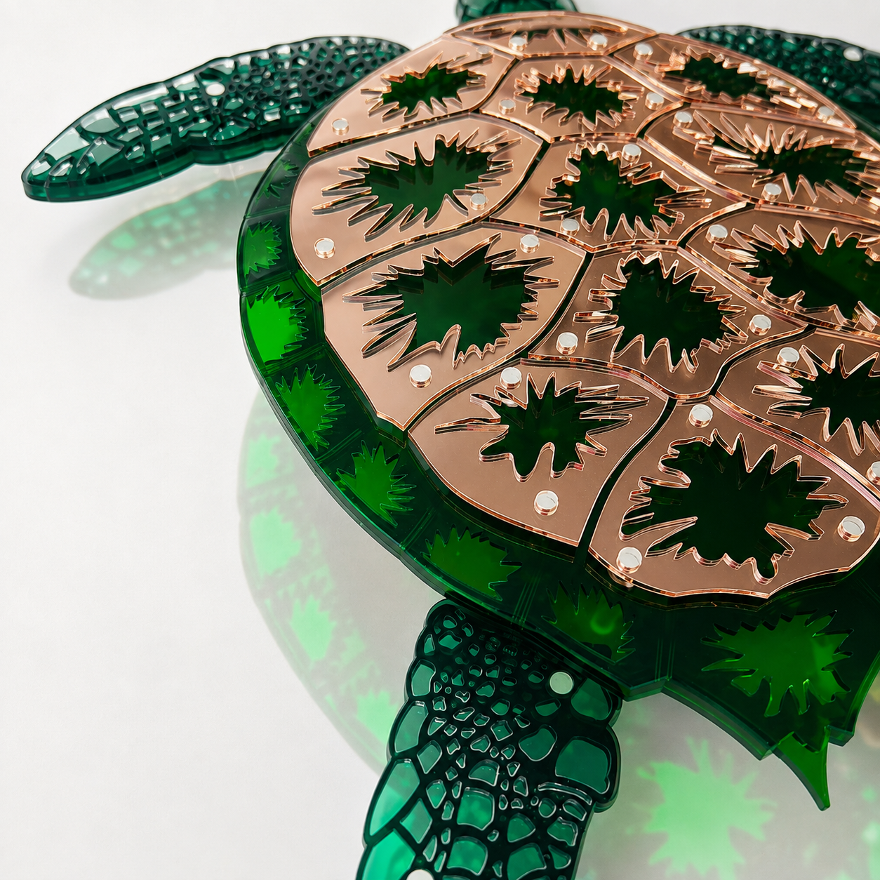 Turtle